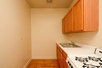1055 W George St in Chicago, IL - Building Photo - Building Photo