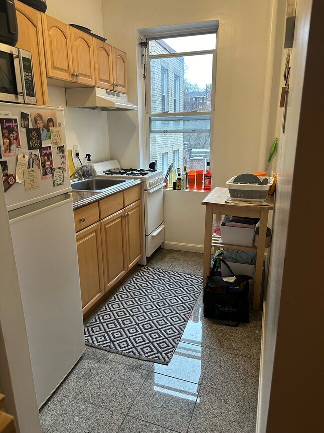 109 Brainerd Rd, Unit 120-6 in Boston, MA - Building Photo - Building Photo