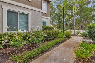26316 Los Viveros in Mission Viejo, CA - Building Photo - Building Photo