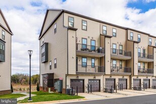 22504 Wilson View Ter in Ashburn, VA - Building Photo