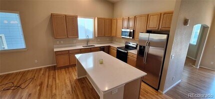 3645 Desert Ridge Cir in Castle Rock, CO - Building Photo - Building Photo