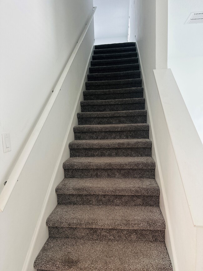 10749 Pleasant Knoll Dr in Tampa, FL - Building Photo - Building Photo
