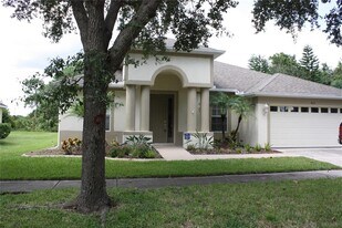 9115 Pinebreeze Dr in Riverview, FL - Building Photo