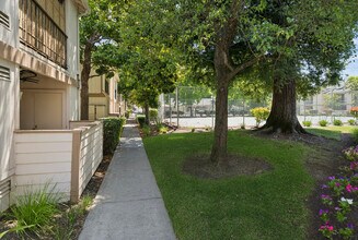 Camino Creek in Rohnert Park, CA - Building Photo - Building Photo