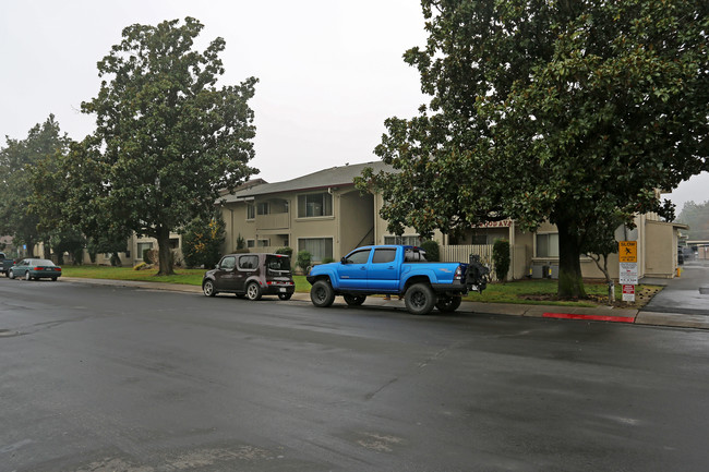 1405 Stonewood Ave in Manteca, CA - Building Photo - Building Photo