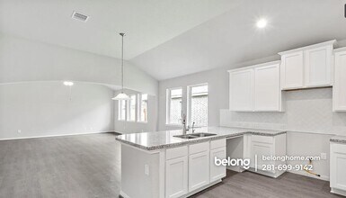 14038 Placid Bayou Trail in Houston, TX - Building Photo - Building Photo