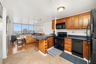 88 W Schiller St in Chicago, IL - Building Photo - Building Photo