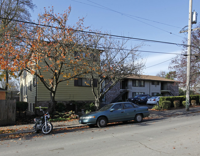 Pine Tree in Portland, OR - Foto de edificio - Building Photo