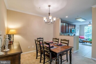 20385 Belmont Park Terrace in Ashburn, VA - Building Photo - Building Photo