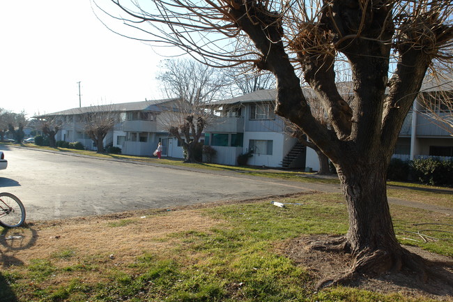 Regency Apartments in Chico, CA - Building Photo - Building Photo