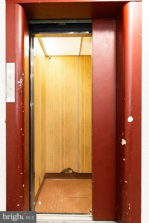 1832 Metzerott Rd in Adelphi, MD - Building Photo - Building Photo