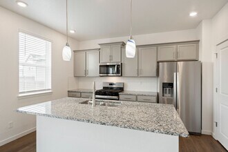 5903 Amerifax Dr in Windsor, CO - Building Photo - Building Photo