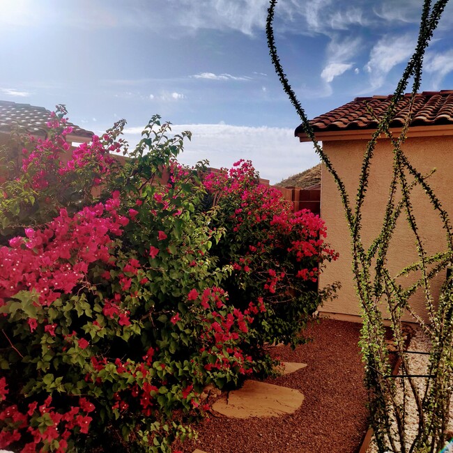 2561 W Brandy Crest Dr in Tucson, AZ - Building Photo - Building Photo