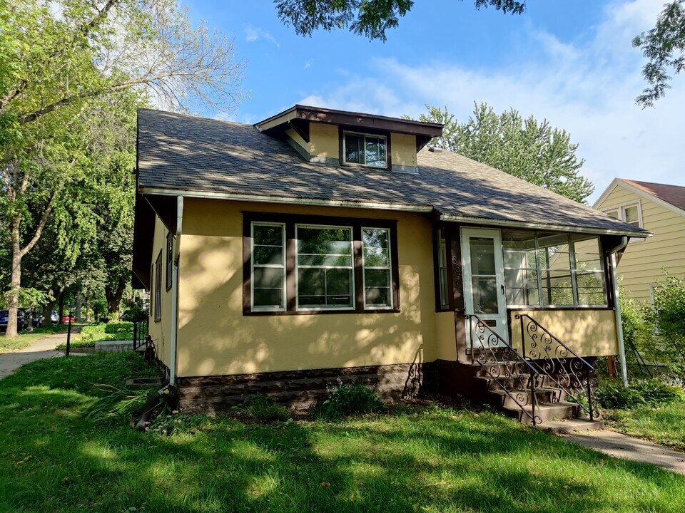334 S Albert St in St. Paul, MN - Building Photo