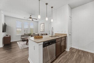 Platinum Castle Hills in Lewisville, TX - Building Photo