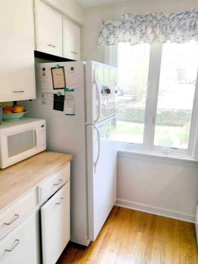 12 Webster Ct in Amherst, MA - Building Photo - Building Photo