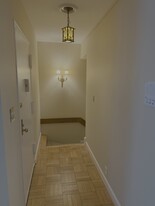 3531 39th St NW, Unit A499 in Washington, DC - Building Photo