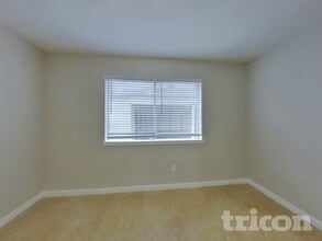 16006 Camino Del Sol Dr in Houston, TX - Building Photo - Building Photo