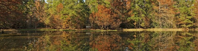 Apartamentos Alquiler en Graystone Hills, TX