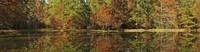 Apartments in Conroe, TX