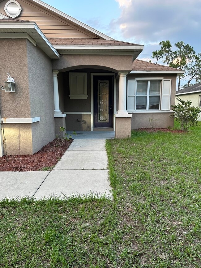 11253 Running Pine Dr in Riverview, FL - Building Photo - Building Photo