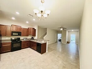 4542 Globe Thistle Dr in Tampa, FL - Building Photo - Building Photo