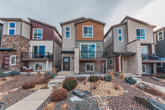 11169 Modern Meadow Loop in Colorado Springs, CO - Foto de edificio - Building Photo