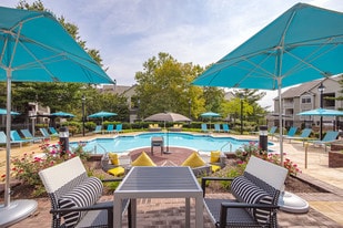 Saddle Ridge Apartments in Ashburn, VA - Building Photo