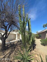 3012 E Sweetwater Ave in Phoenix, AZ - Building Photo - Building Photo