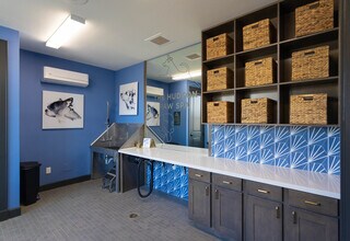 The Hudson at Orchard Park in Lubbock, TX - Foto de edificio - Building Photo