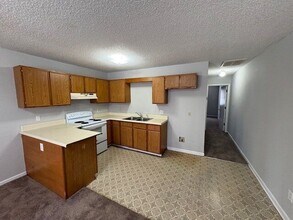 1507 Ashland Dr in Greenville, NC - Building Photo - Building Photo