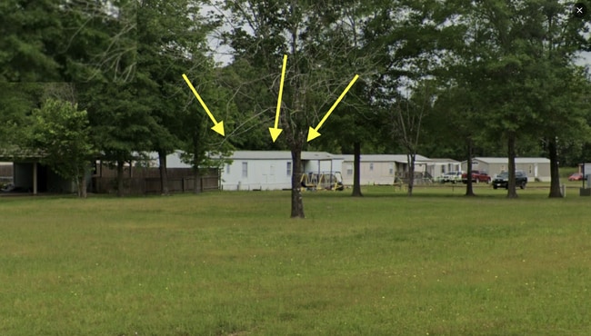 property at 395 Yaupon St