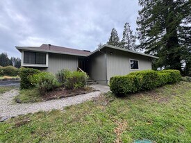 14331 Occidental Rd in Sebastopol, CA - Building Photo