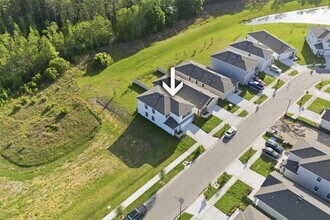 17786 Acorn Drop Rd in Land O Lakes, FL - Building Photo - Building Photo