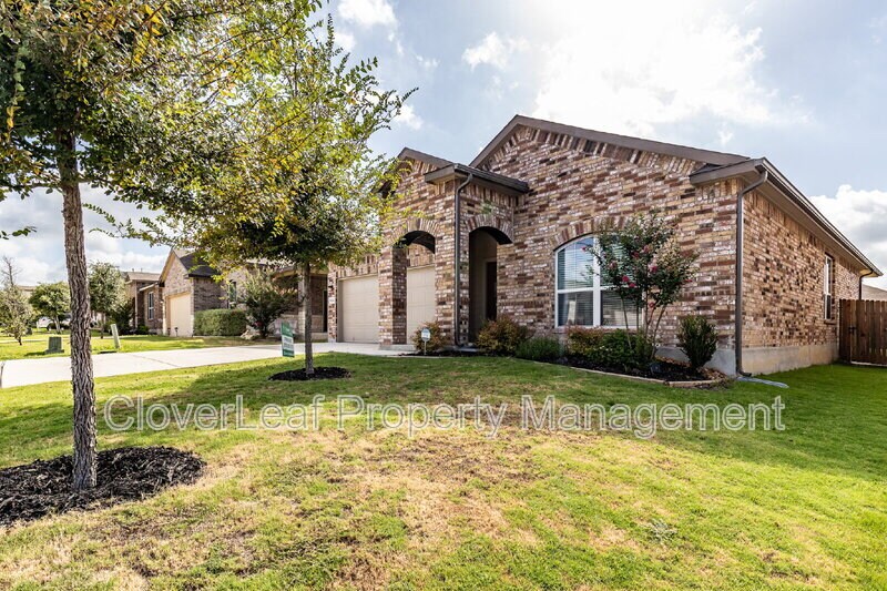 9414 Bracted Sedge in San Antonio, TX - Building Photo