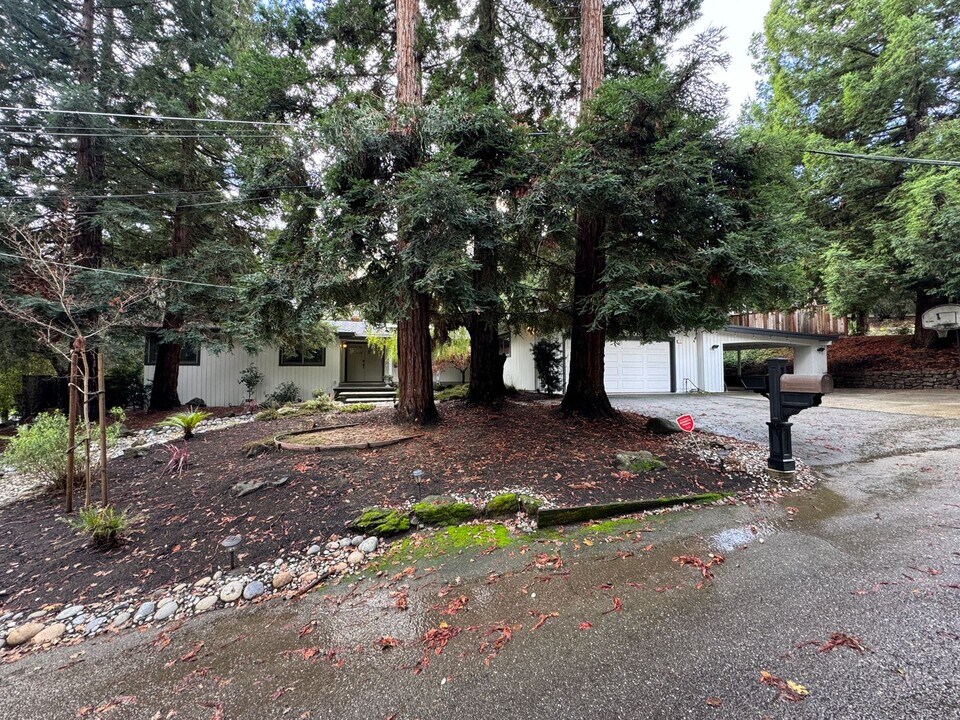 1 Kirkcrest Ct in Alamo, CA - Building Photo