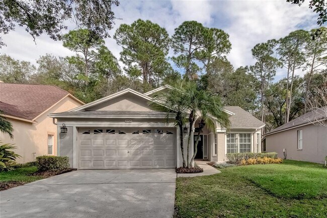 10426 Springrose Dr in Tampa, FL - Building Photo - Building Photo