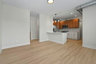 432-436 S Maple Ave in Oak Park, IL - Building Photo