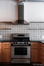1610 Little Raven St in Denver, CO - Building Photo - Building Photo