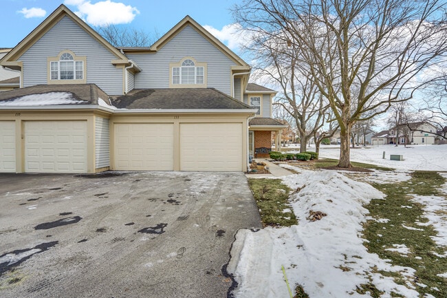 133 White Branch Ct N in Schaumburg, IL - Building Photo - Building Photo