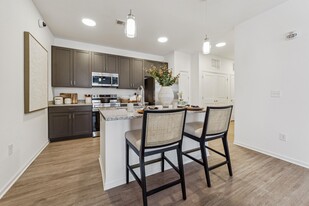 Plat 4 at Research Triangle Apartments