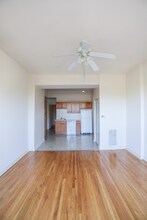 703 W Willow St in Chicago, IL - Building Photo - Building Photo