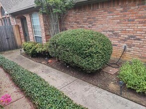 3209 Cape Cod Ct in Arlington, TX - Building Photo - Building Photo