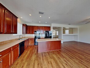 19554 Timberbluff Dr in Land O Lakes, FL - Foto de edificio - Building Photo