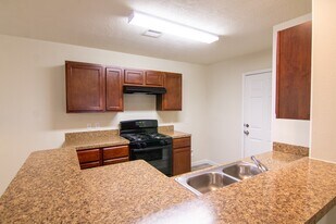 15206 Lucky Star Dr in Houston, TX - Building Photo