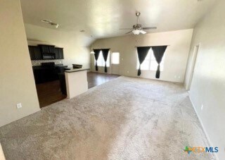 1206 Roanoke Dr in Temple, TX - Building Photo - Building Photo