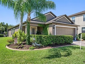 12674 Longstone Ct in New Port Richey, FL - Building Photo - Building Photo