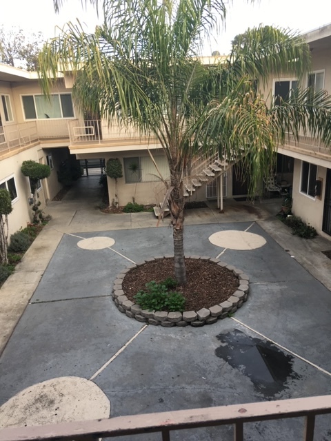 1905 S Oxford Ave in Los Angeles, CA - Building Photo