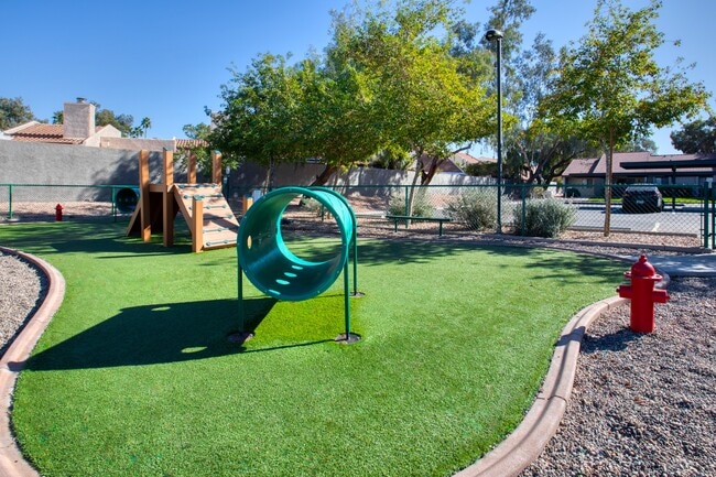 Willow Creek in Tempe, AZ - Foto de edificio - Building Photo