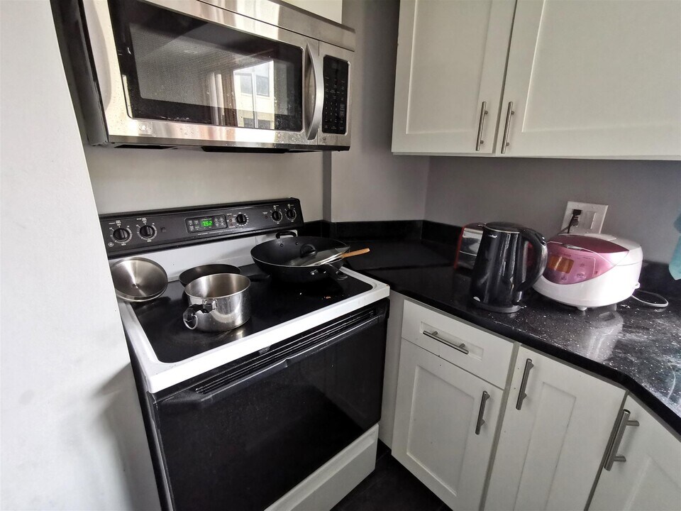 235 Brookline St, Unit 1 in Cambridge, MA - Building Photo